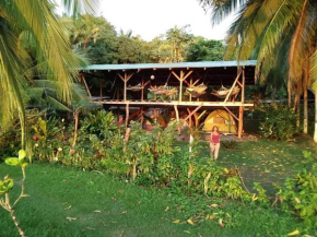 Life for Life Hostel Drake Bay Home of Sea Turtle Marine Conservation Project Osa Peninsula near San Josecito Beach